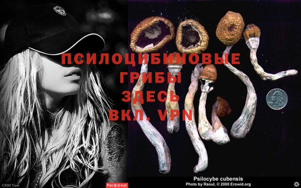 каннабис Усолье-Сибирское