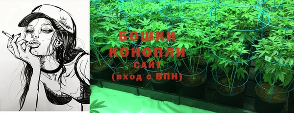 кокс Гусь-Хрустальный