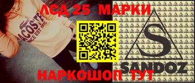 амф Кингисепп