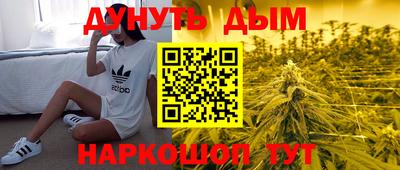 амф Кингисепп