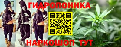 ГАЛЛЮЦИНОГЕННЫЕ ГРИБЫ Кимры