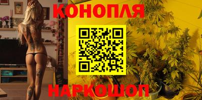 амф Кингисепп
