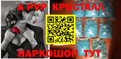 амф Кингисепп