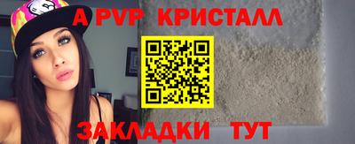 амф Кингисепп