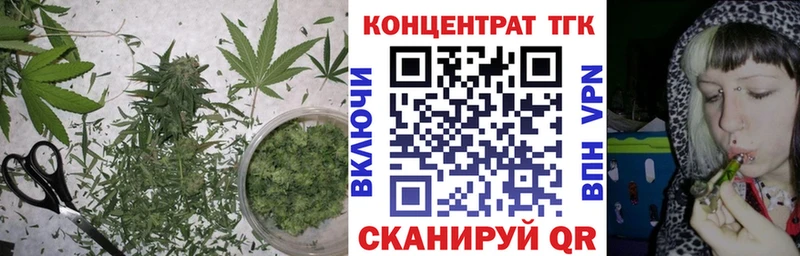закладка  Острогожск  OMG маркетплейс  Дистиллят ТГК гашишное масло 