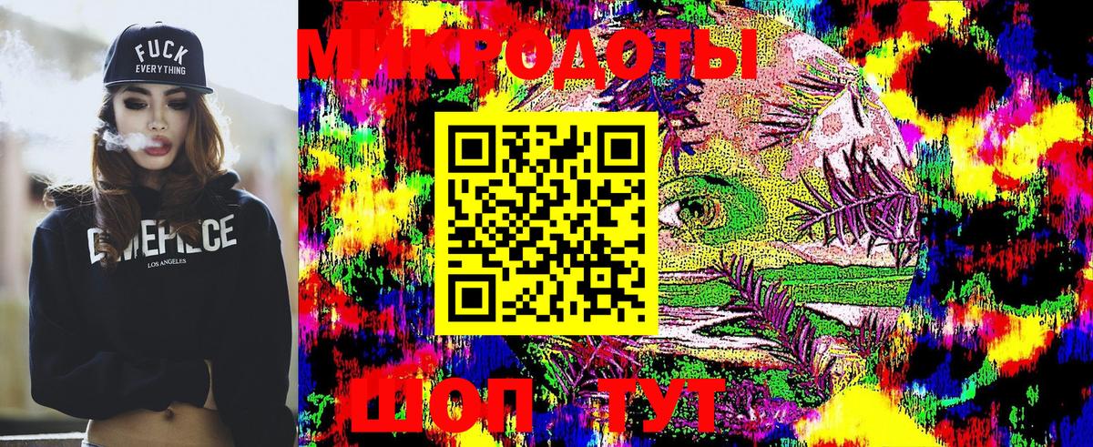 Галлюциногенные грибы Psilocybe  где можно купить наркотик  Острогожск 